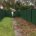 Colorbond fencing and gate